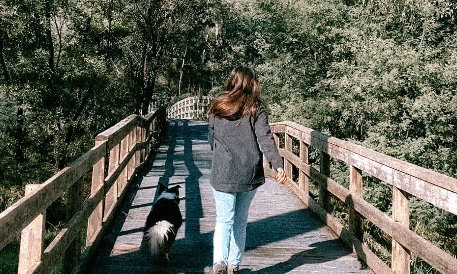 Woman walking with dog outdoors on a sunny day