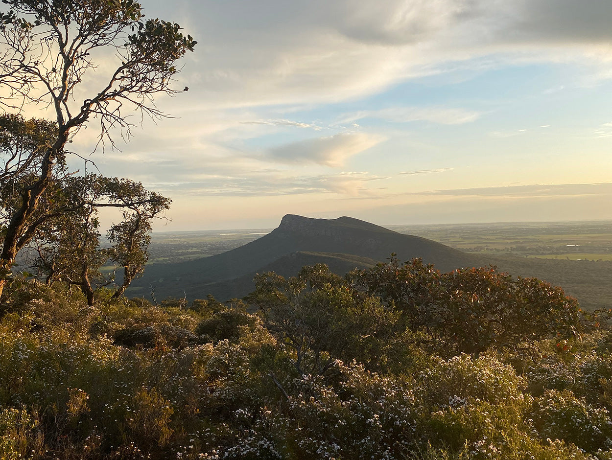 A beautiful mountain view in Victoria