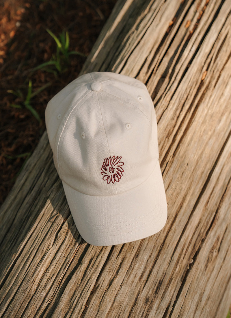 Parks Cap - Shell